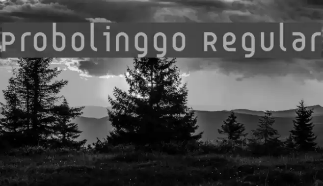 Probolinggo Regular Font examples
