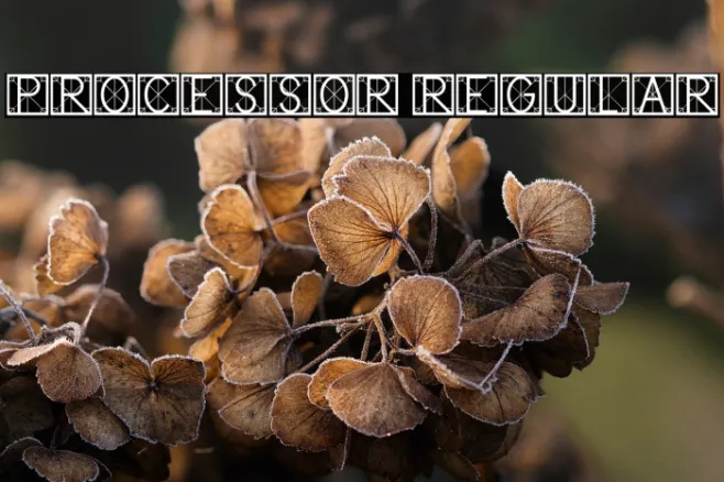 Processor Regular Example 2