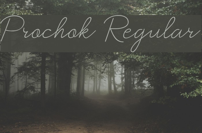 Prochok Regular Example 1