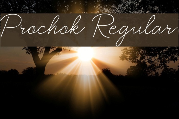 Prochok Regular Example 3