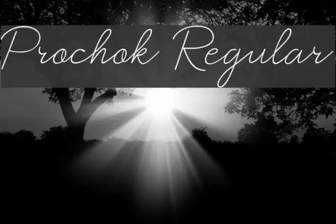 Prochok Regular Font examples