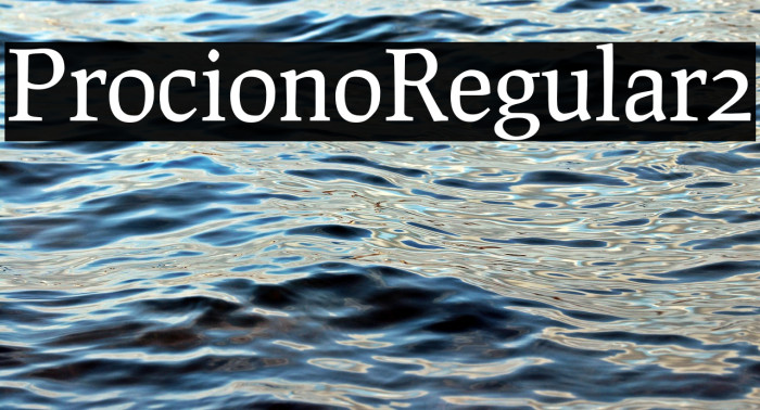Prociono Regular2 Example 2