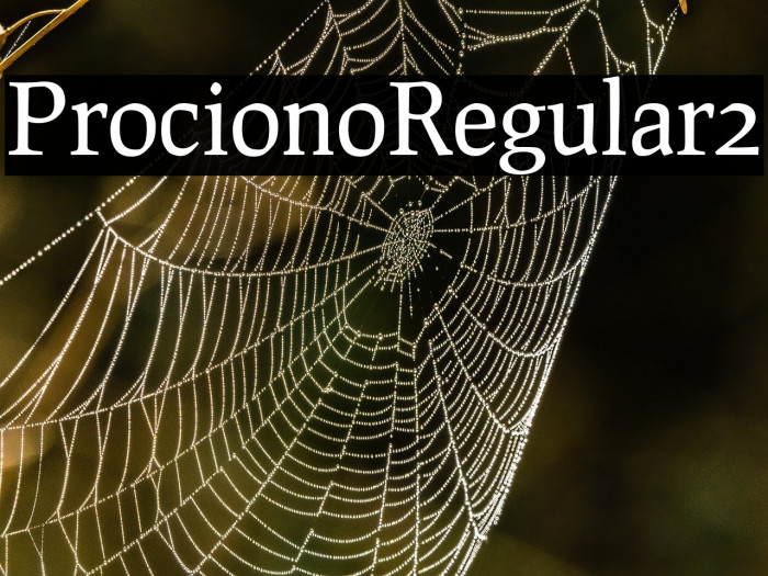 Prociono Regular2 Example 3