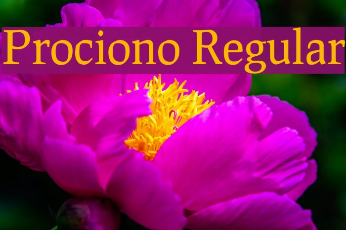 Prociono Regular Font examples