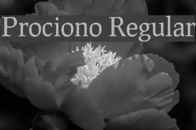 Prociono Regular Font examples
