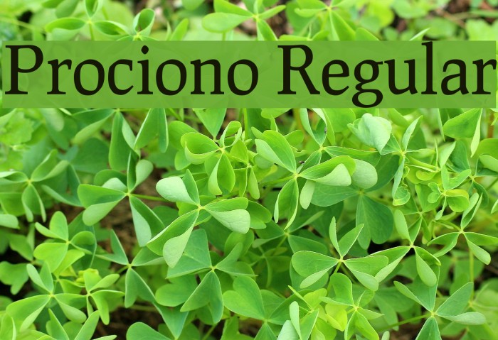 Prociono Regular Font examples