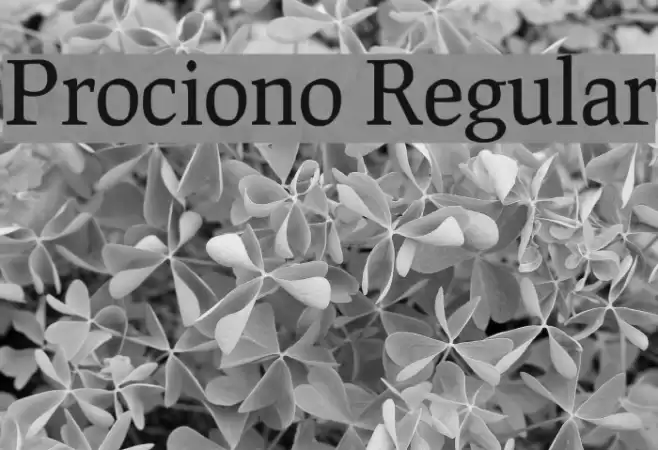 Prociono Regular Font examples