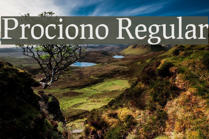 Prociono Regular Font examples