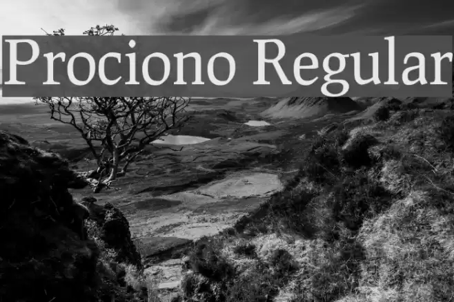 Prociono Regular Font examples