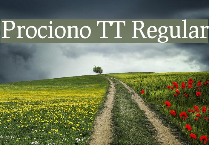 Prociono TT Regular Fonte examples