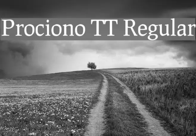 Prociono TT Regular Fonte examples