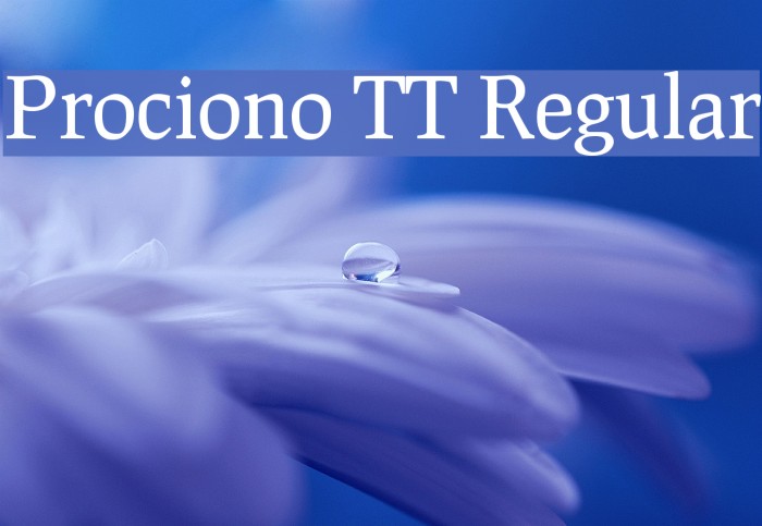 Prociono TT Regular Fonte examples