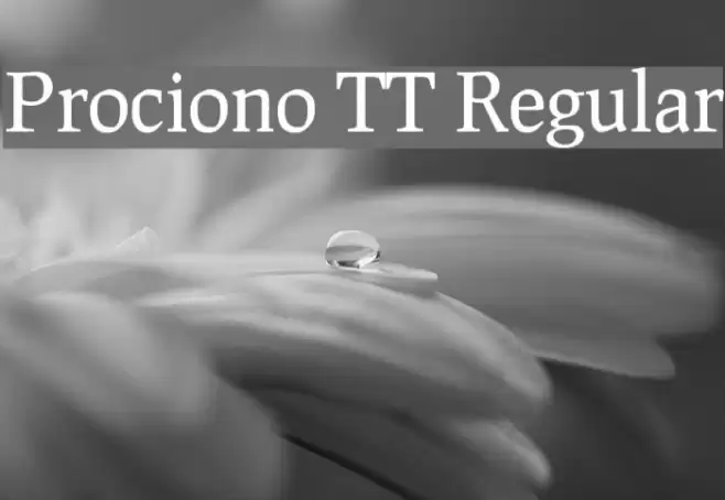Prociono TT Regular Fonte examples