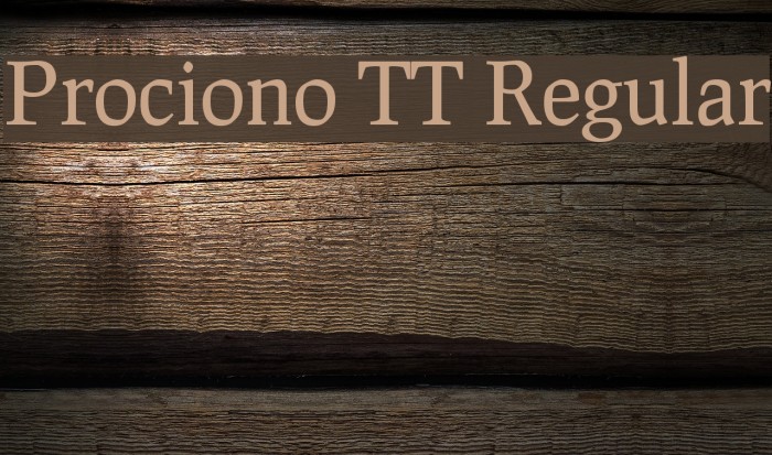 Prociono TT Regular Fonte examples
