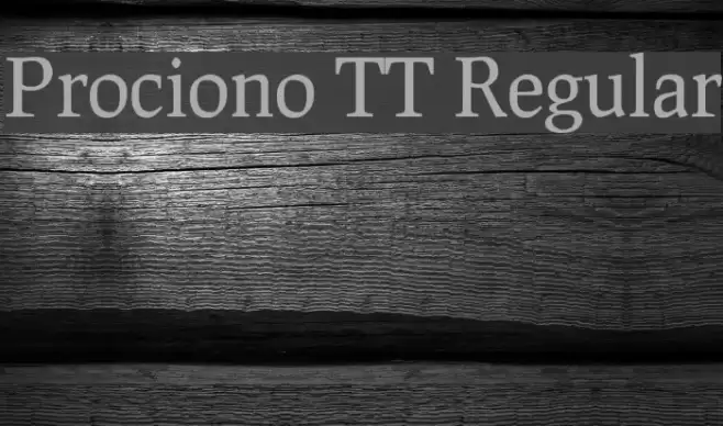 Prociono TT Regular Fonte examples