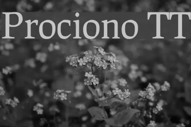 Prociono TT Font examples