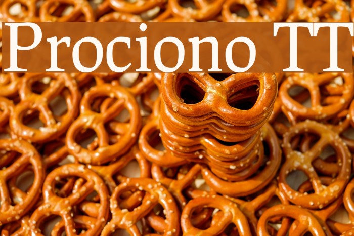 Prociono TT Font examples