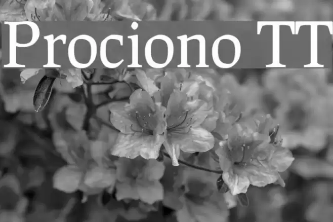 Prociono TT Font examples