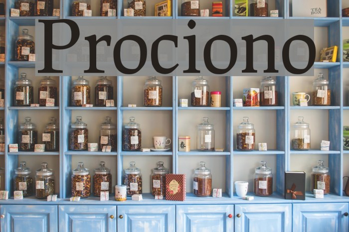 Prociono Font examples