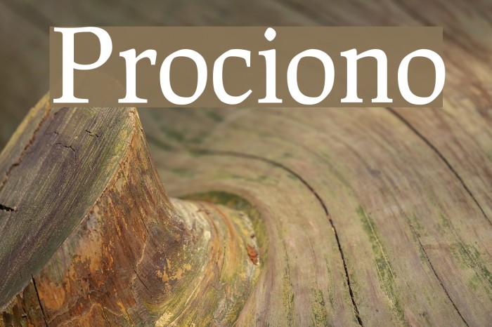 Prociono Font examples