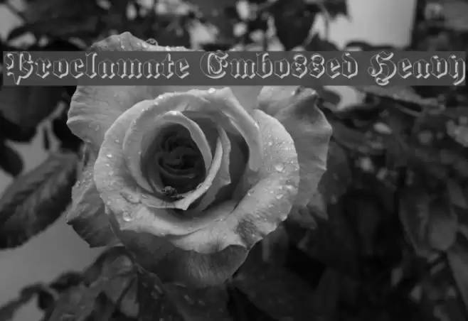 Proclamate Embossed Heavy خط examples