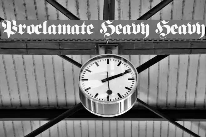 Proclamate Heavy Heavy Caratteri examples