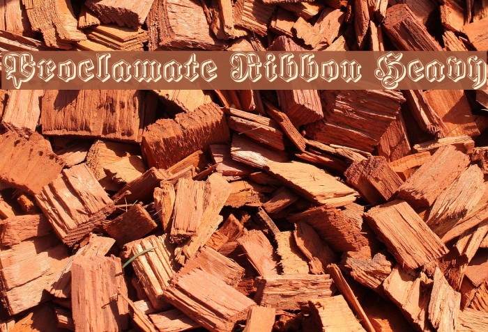 Proclamate Ribbon Heavy Font examples