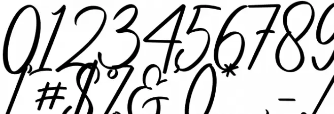 Procreate Signature Font OTHER CHARS