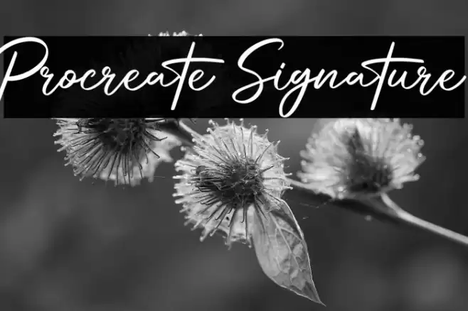 Procreate Signature Font examples