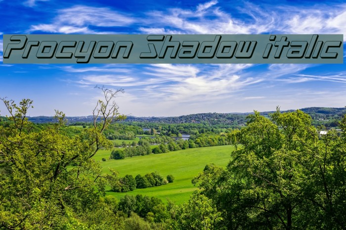 Procyon Shadow Italic Example 1