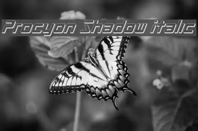 Procyon Shadow Italic Font examples
