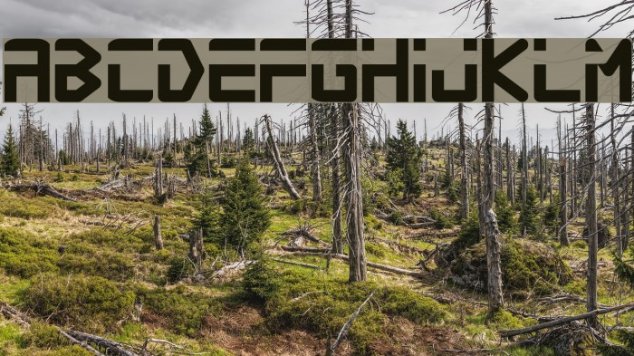 Procyon Font examples