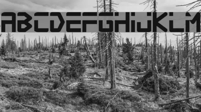 Procyon Font examples