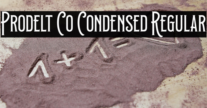 Prodelt Co Condensed Regular Example 1