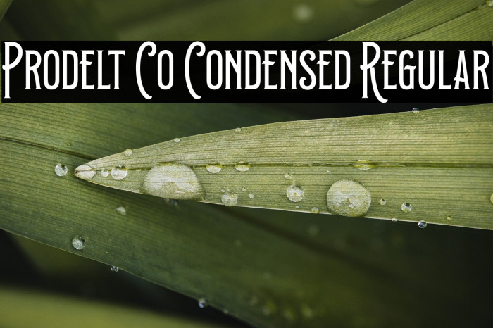 Prodelt Co Condensed Regular Example 2