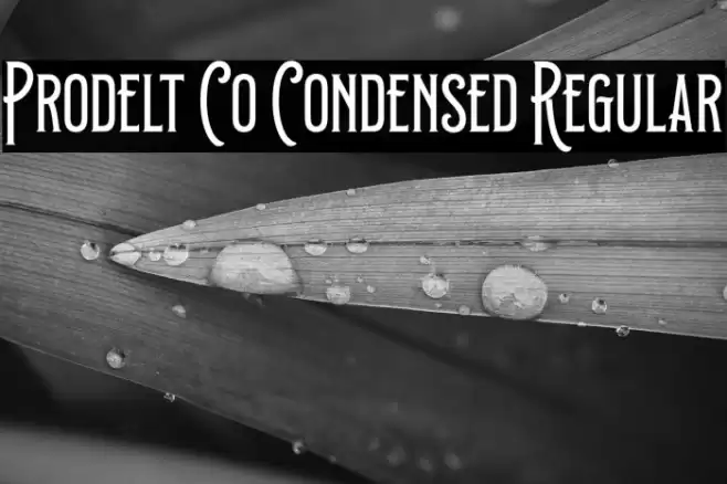 Prodelt Co Condensed Regular Font examples