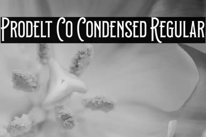 Prodelt Co Condensed Regular Font examples