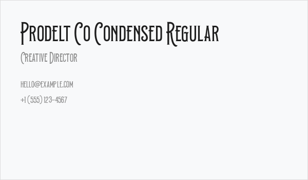Prodelt Co Condensed Regular Business Card