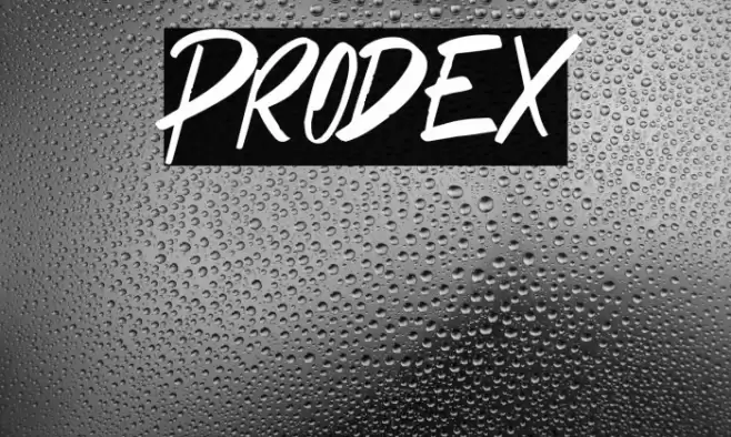 Prodex フォント examples