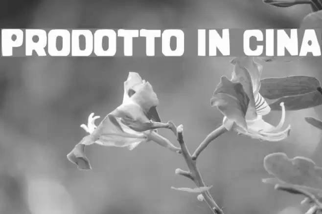 Prodotto In Cina Font examples