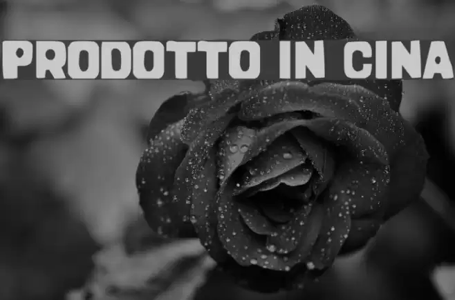 Prodotto In Cina Font examples