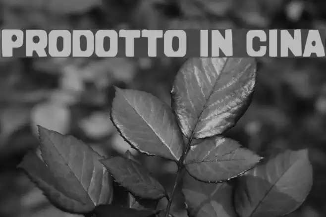 Prodotto In Cina Font examples