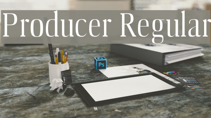 Producer Regular Font examples