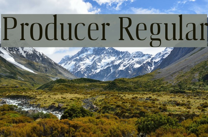 Producer Regular Font examples