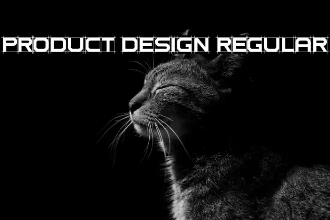 Product Design Regular Polices examples