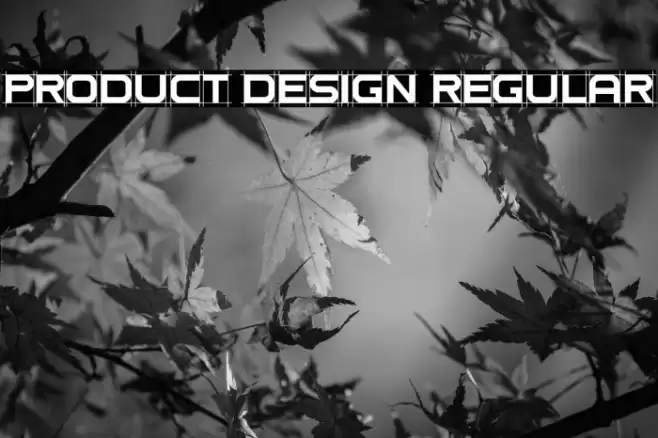Product Design Regular Polices examples