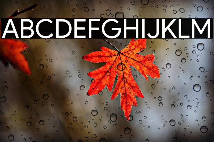 Product Sans(RUS BY LYAJKA) Example 1