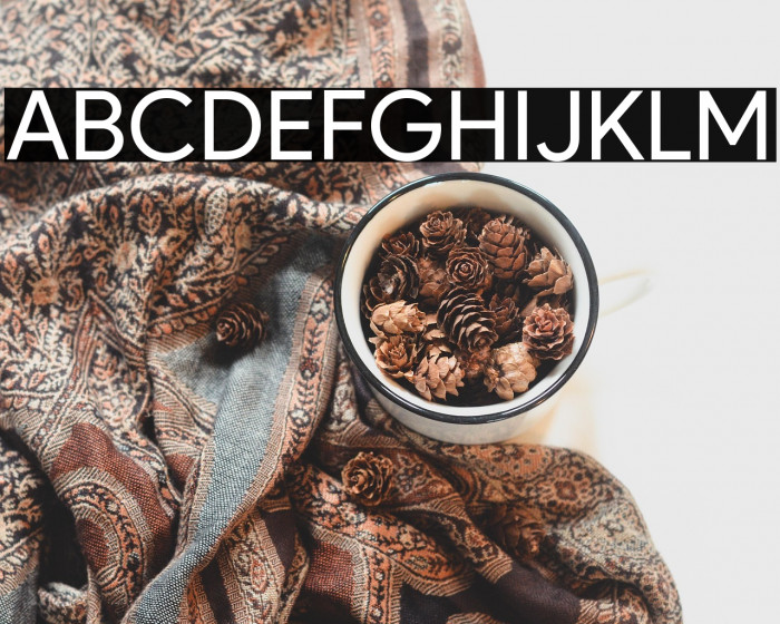 Product Sans(RUS BY LYAJKA) Example 2