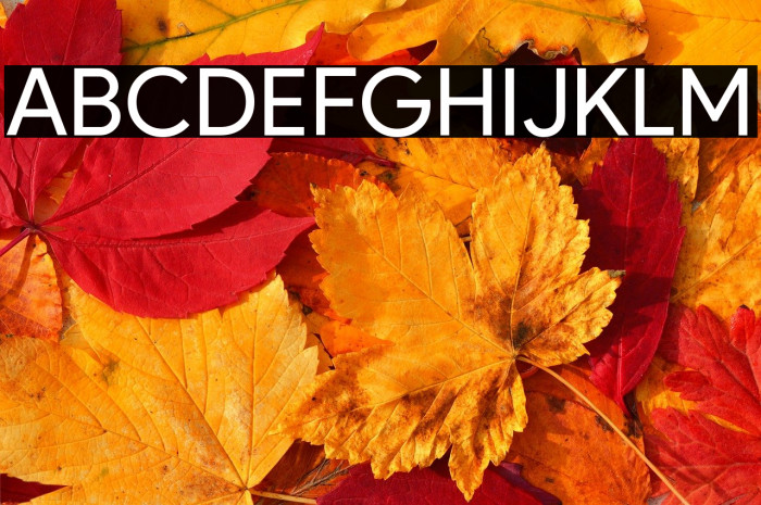 Product Sans(RUS BY LYAJKA) Example 3