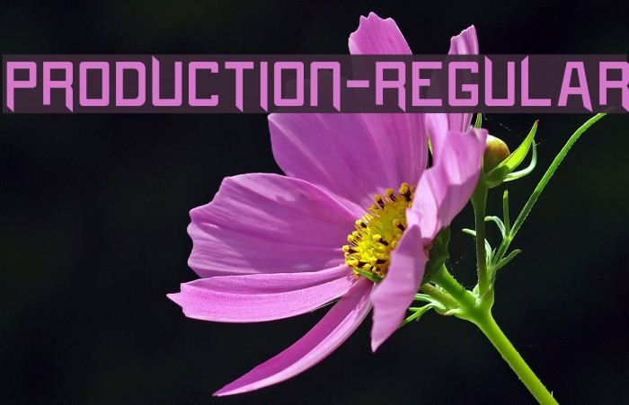 Production-Regular Font examples
